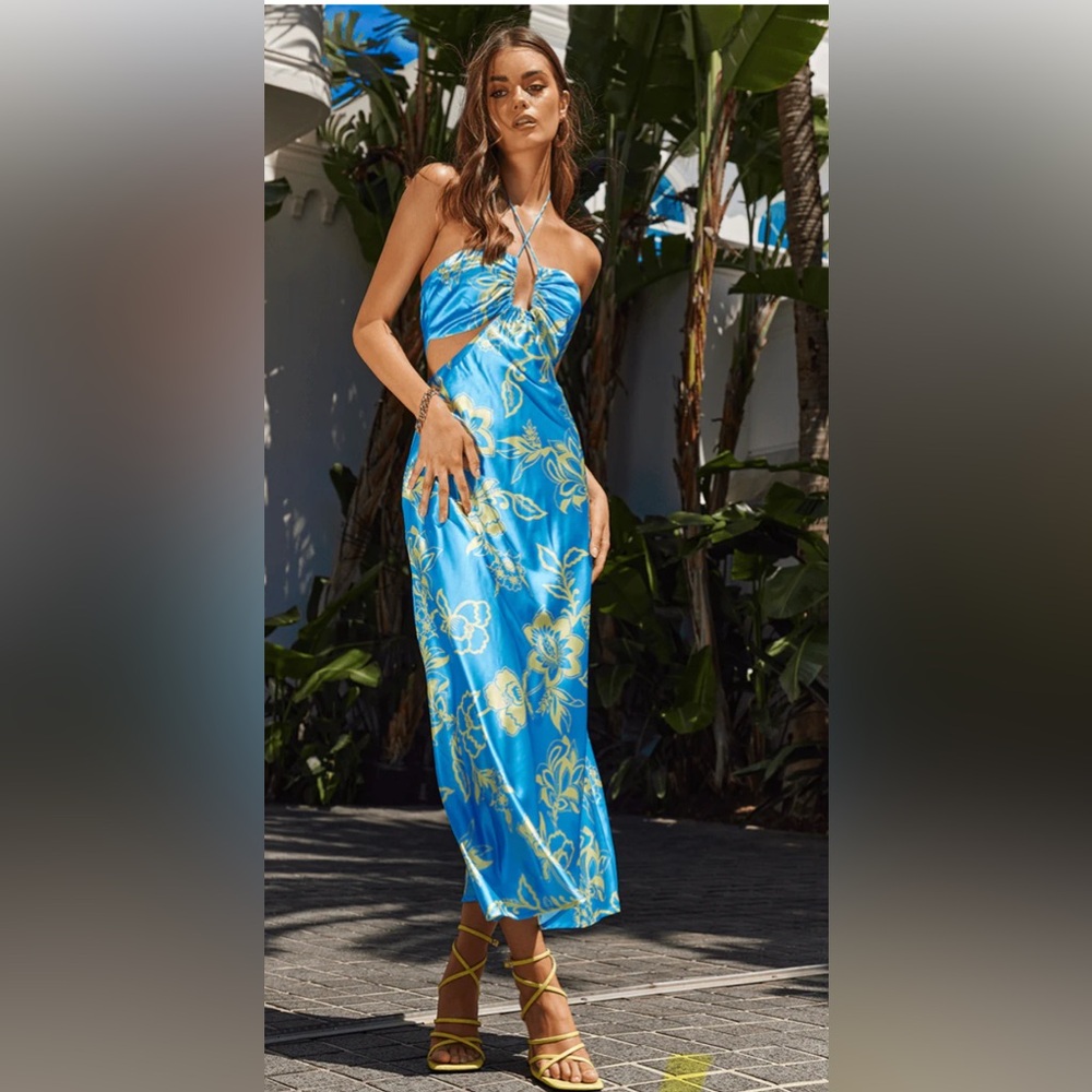 Runaway blue floral dress